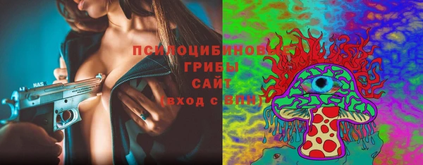 Альфа ПВП Абаза
