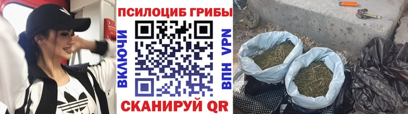 Галлюциногенные грибы мухоморы  Александровск-Сахалинский 